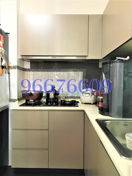 Blk 273B Natura Loft (Bishan), HDB 4 Rooms #154341992